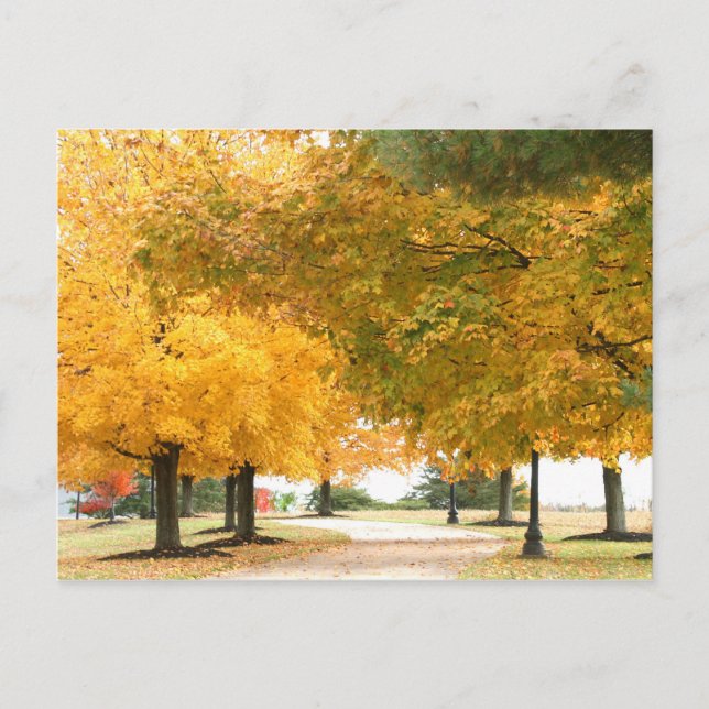 Fall walk postcard (Front)