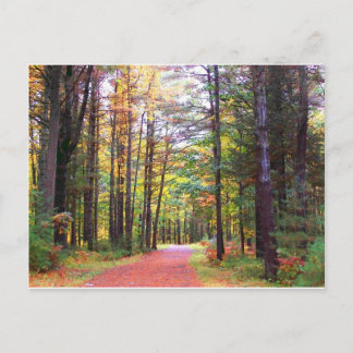 fall walkway.jpg postcard