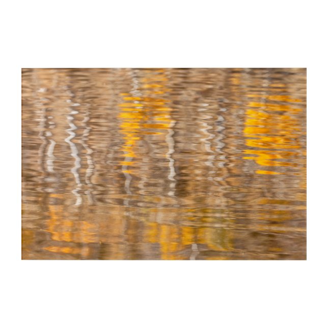 Fall Water Abstract Acrylic Print (Front)