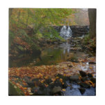 Fall Waterfall and Creek Pennsylvania Nature Ceramic Tile