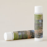 Fall Waterfall and Creek Pennsylvania Nature Lip Balm