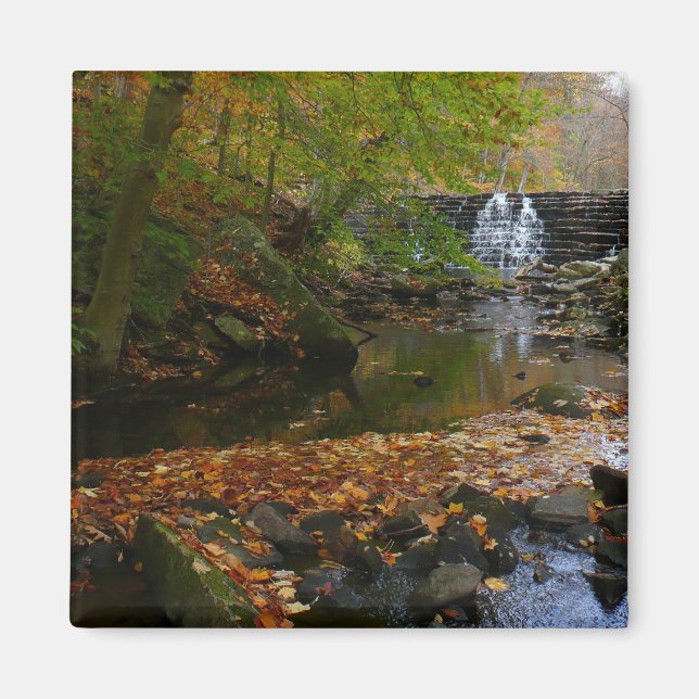 Fall Waterfall and Creek Pennsylvania Nature Magnet (Front)