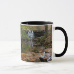 Fall Waterfall and Creek Pennsylvania Nature Mug