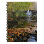 Fall Waterfall and Creek Pennsylvania Nature Notebook