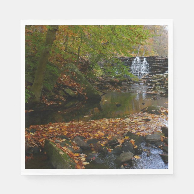 Fall Waterfall and Creek Pennsylvania Nature Paper Napkins (Front)