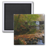 Fall Waterfall and Creek Pennsylvania Nature Photo Magnet