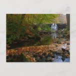 Fall Waterfall and Creek Pennsylvania Nature Photo Postcard