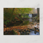 Fall Waterfall and Creek Pennsylvania Nature Photo Postcard