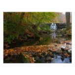 Fall Waterfall and Creek Pennsylvania Nature Photo Print