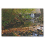 Fall Waterfall and Creek Pennsylvania Nature Photo Tissue Paper
