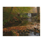 Fall Waterfall and Creek Pennsylvania Nature Photo Wood Wall Decor