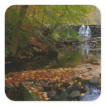 Fall Waterfall and Creek Pennsylvania Nature Square Sticker