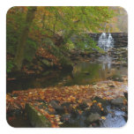 Fall Waterfall and Creek Pennsylvania Nature Square Sticker