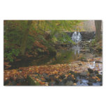 Fall Waterfall and Creek Pennsylvania Nature Tissue Paper