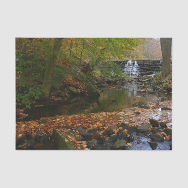 Fall Waterfall and Creek Pennsylvania Nature Tissue Paper (Front)