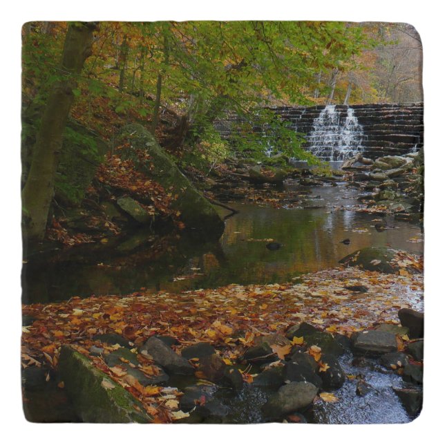 Fall Waterfall and Creek Pennsylvania Nature Trivet (Front)