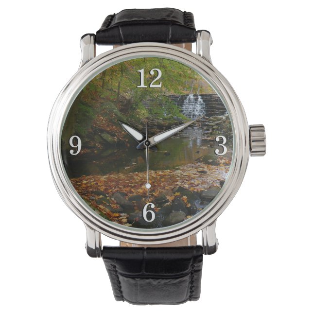 Fall Waterfall and Creek Pennsylvania Nature Watch (Front)