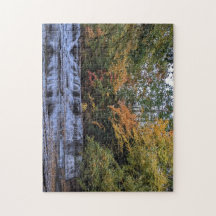 Fall Waterfall Puzzle