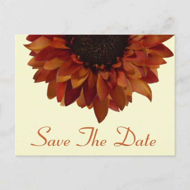 Fall Wedding Save The Date Sunflower Postcard (Front)