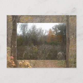 fall wildlife postcard