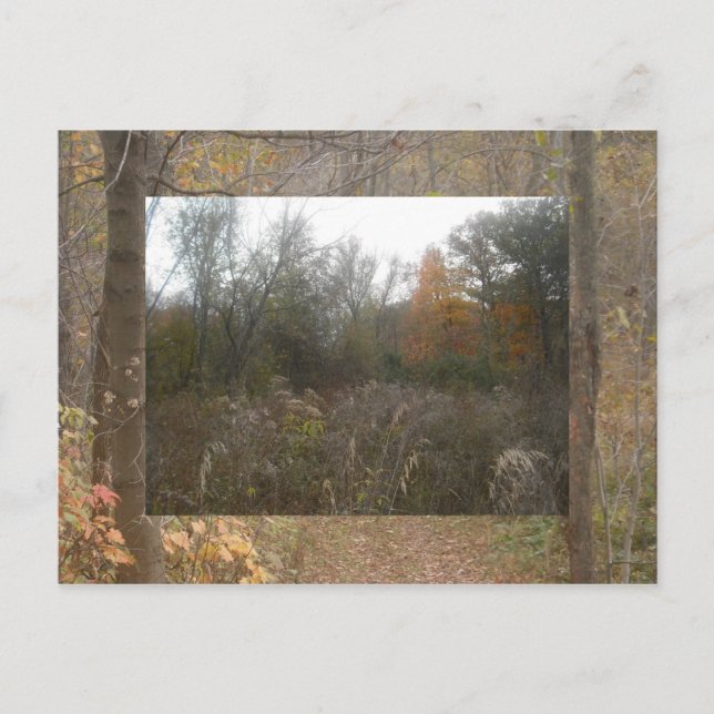 fall wildlife postcard (Front)