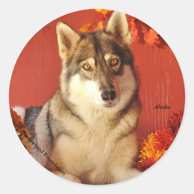 Fall Wolf Sticker (Front)