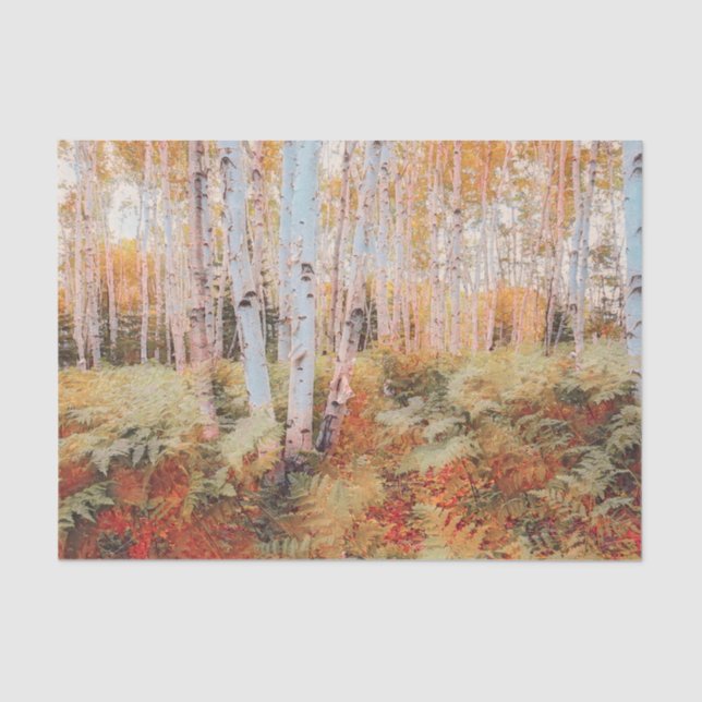 Fall Woodland Fern Forest Birch Trees Tissue Paper (Front)