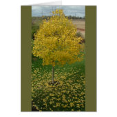 Fall Yellow Leaves/Tree (Front)