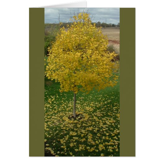 Fall Yellow Leaves/Tree Cards (Front)