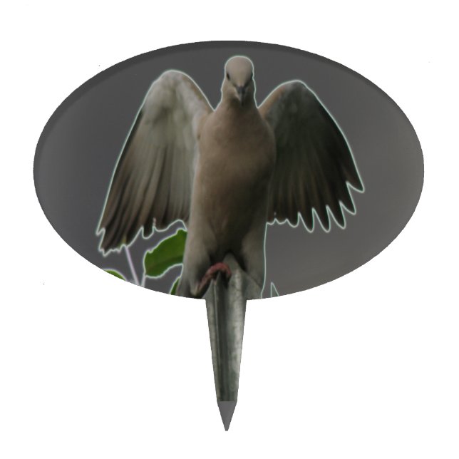 Fallen Angel Dove Cake Pick (Front)