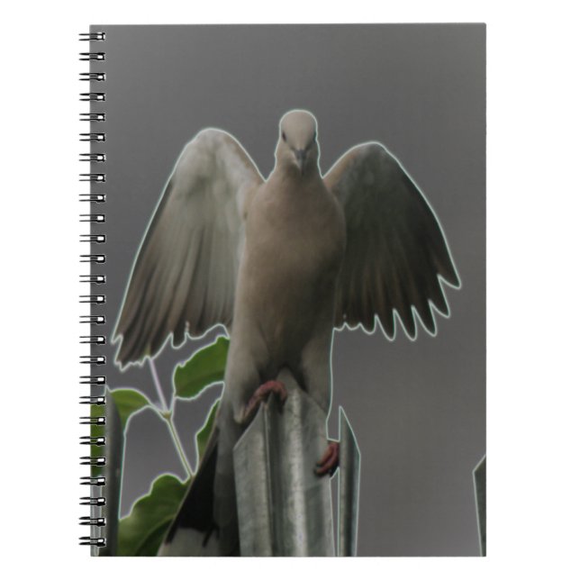 Fallen Angel Dove Notebook (Front)