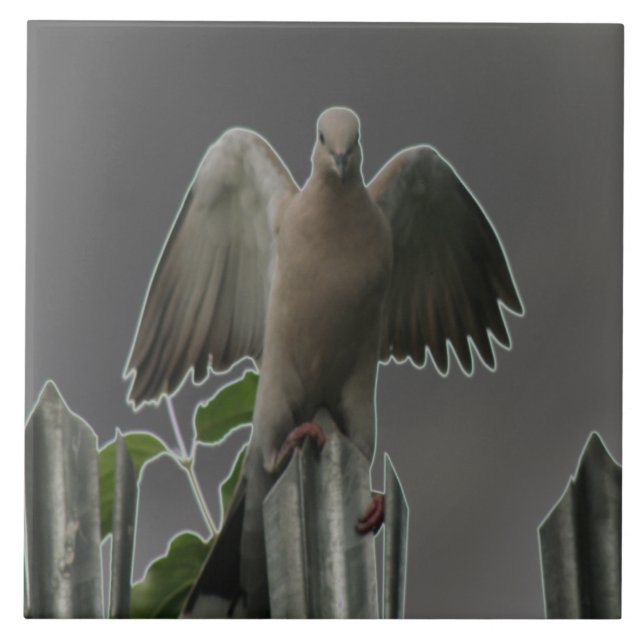 Fallen Angel Dove Tile (Front)