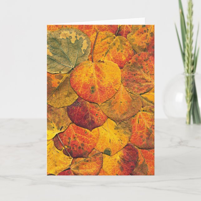 Fallen Aspen Leaves Card (Front)