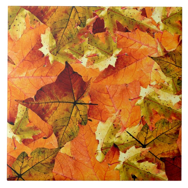 Fallen Autumn Leaves Ceramic Tile (Front)