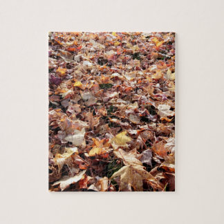 Fallen Autumn Leaves - Difficult Puzzle
