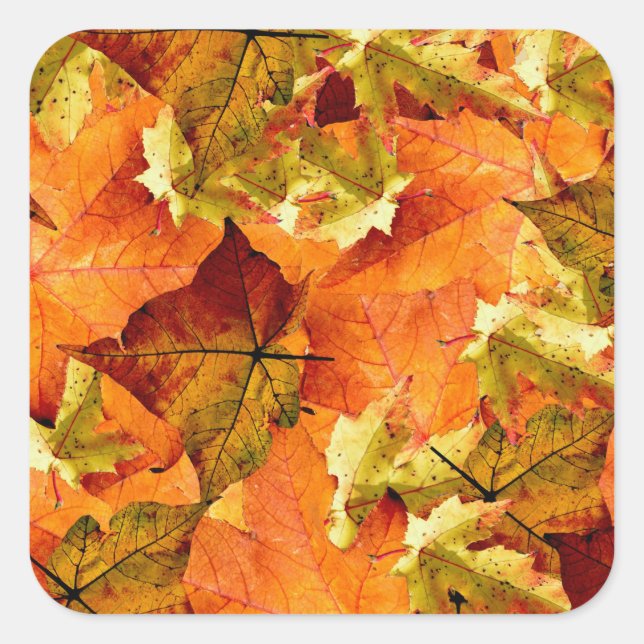 Fallen Autumn Leaves Square Sticker (Front)