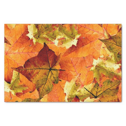 Fallen Autumn Leaves Tissue Paper