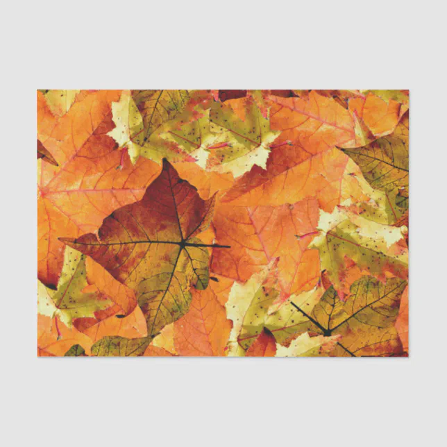 Fallen Autumn Leaves Tissue Paper | Zazzle