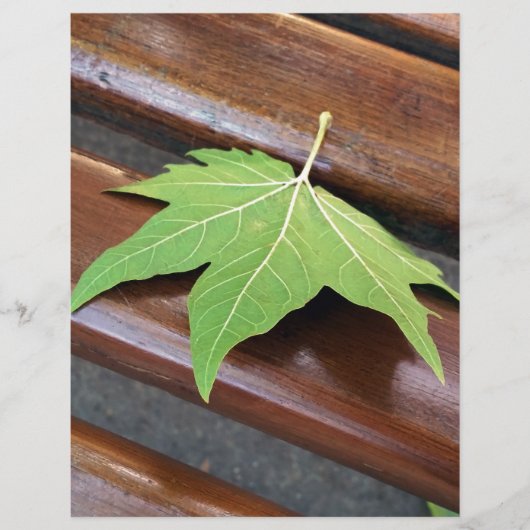 fallen leaf (Front)
