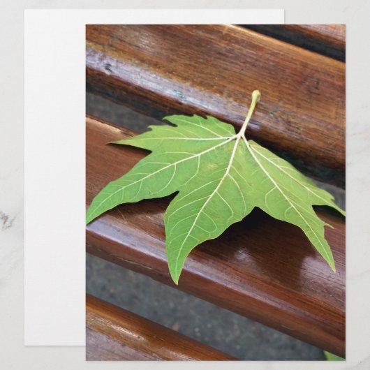 fallen leaf (Front/Back)