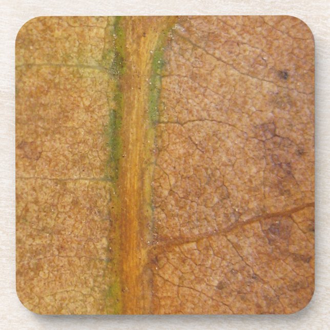 Fallen Leaf 11 Beverage Coaster (Front)