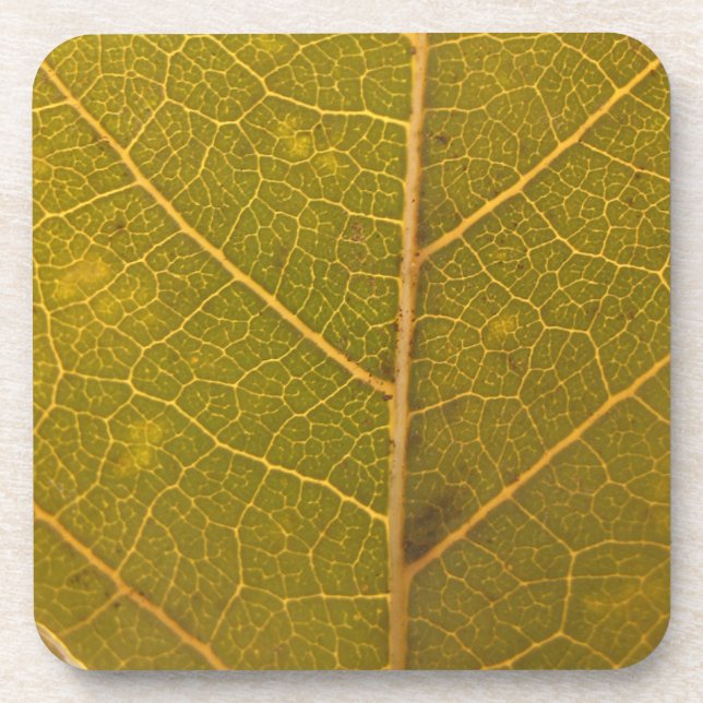 Fallen Leaf 13 Beverage Coaster (Front)