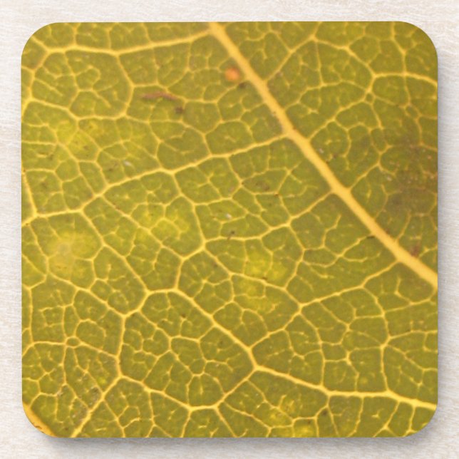 Fallen Leaf 13A Beverage Coaster (Front)