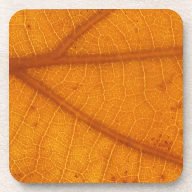 Fallen Leaf 14A Beverage Coaster (Front)