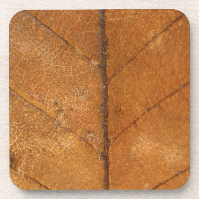 Fallen Leaf 4 Beverage Coaster (Front)