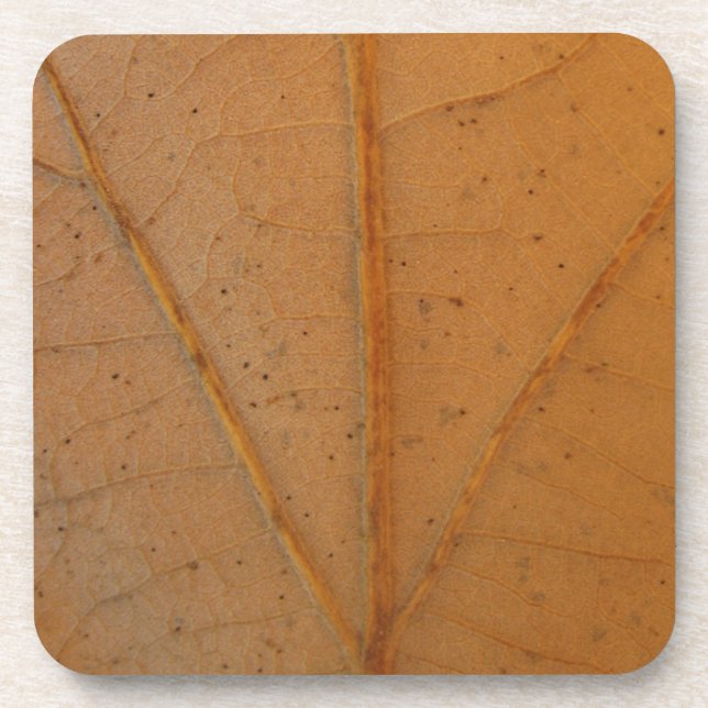 Fallen Leaf 6 Beverage Coaster (Front)