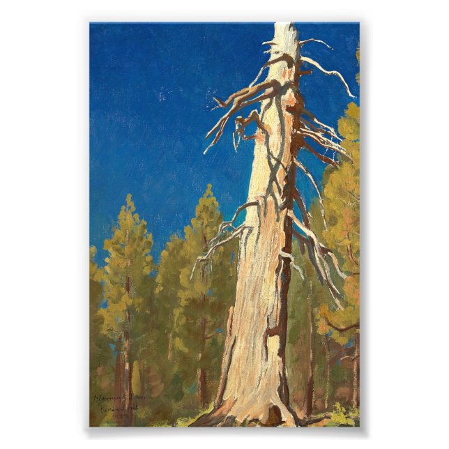 Fallen Leaf by Maynard Dixon Photo Print (Front)