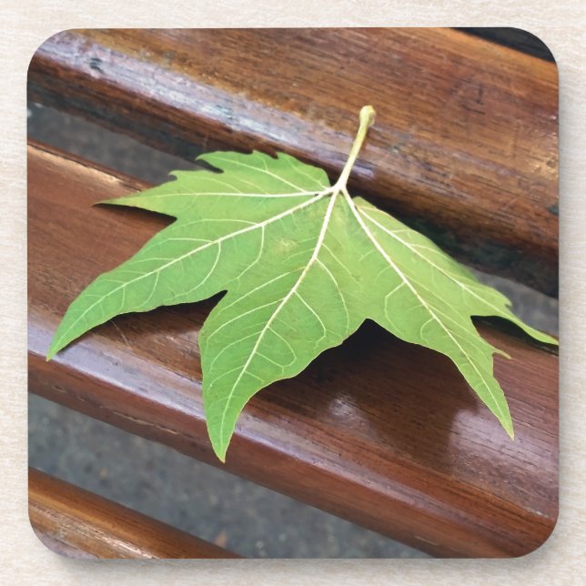fallen leaf drink coaster (Front)