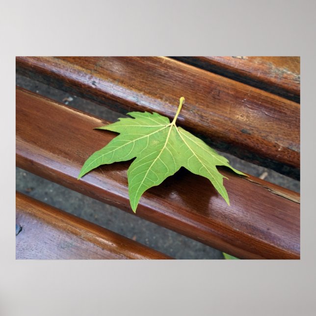 fallen leaf poster (Front)