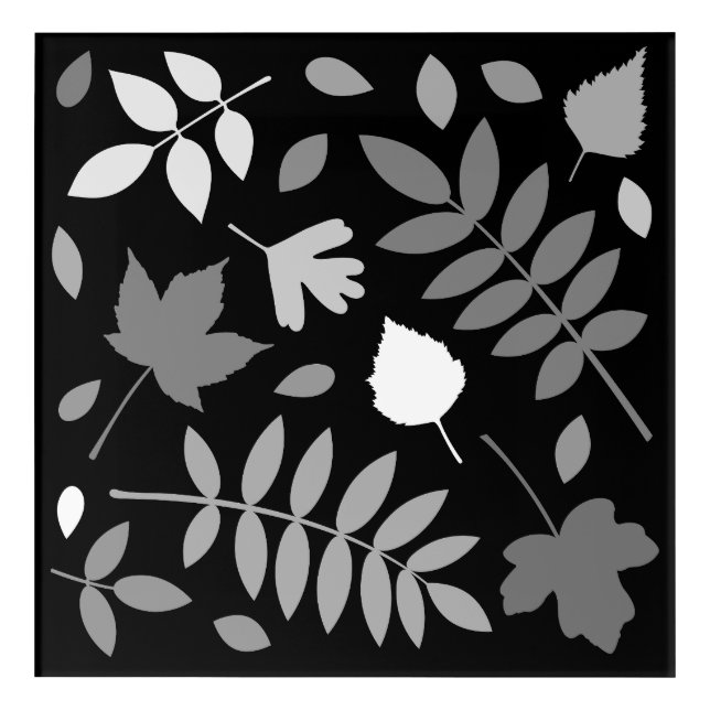 Fallen Leaves Design Greys White Black Acrylic Print (Front)